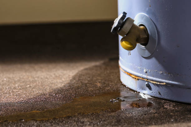 Best Professional water damage repair  in Mason City, IA