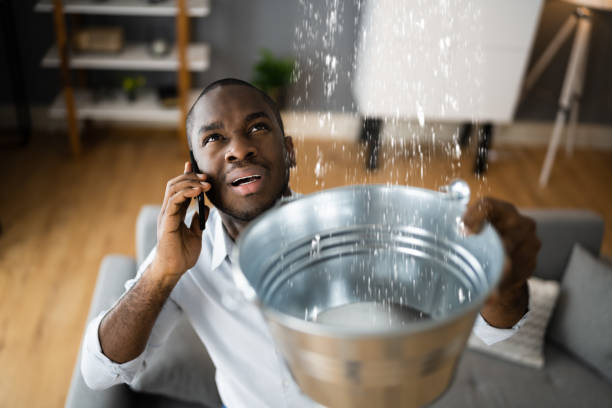 Water damage restoration mold remediation in Mason City, IA