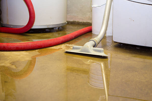 Best 24-hour water damage restoration  in Mason City, IA