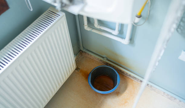 Best Mold removal after water damage  in Mason City, IA