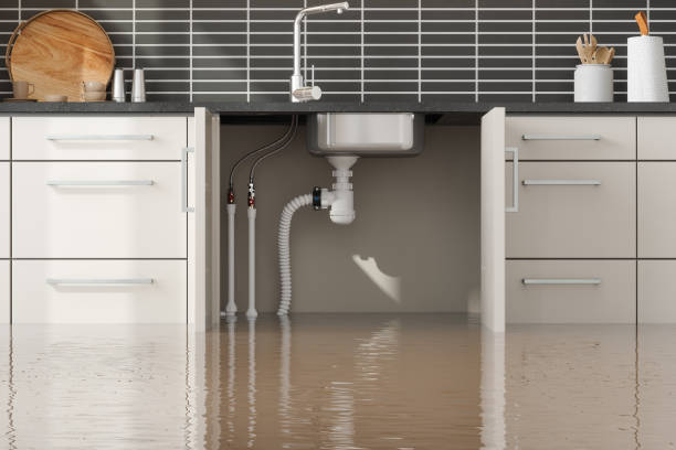 Best Water damage restoration near me  in Mason City, IA